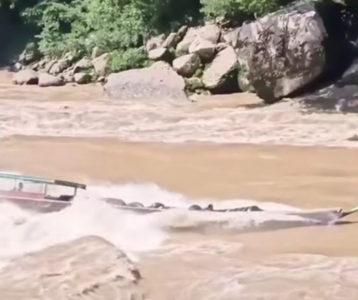 Tangkapan layar video reels yang menayangkan sebuah speedboat melintasi Riam Udang di Kabupaten Mahakam Ulu, Kalimantan Timur. (Foto: Instagram @indoflashlight/THE EDITOR)