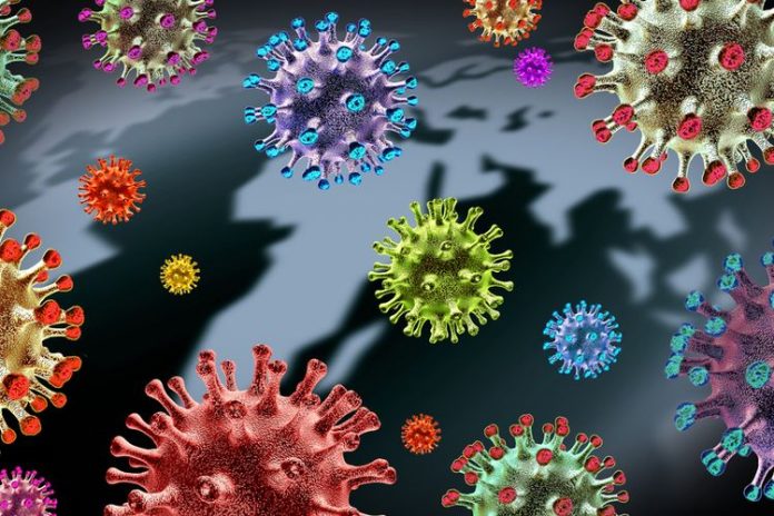 Ilustrasi virus. (Foto: Lightspring/Shutterstock)