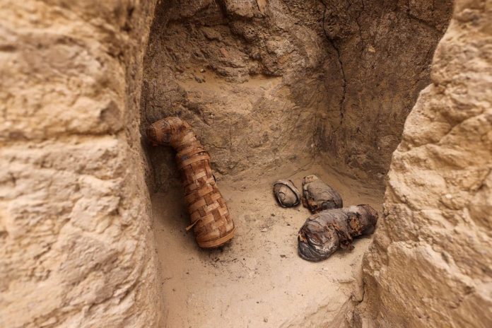 Pemandangan bengkel pembalseman untuk hewan di situs yang baru ditemukan, dekat pekuburan Saqqara, Mesir.