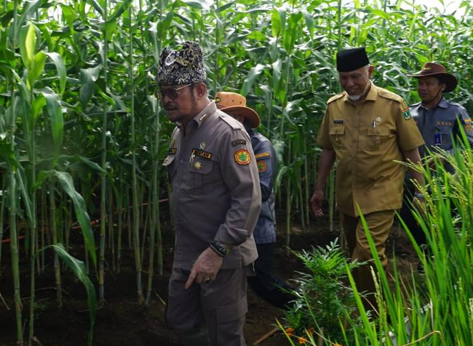 Menteri Pertanian, Syahrul Yasin Limpo menyusuri kebun jagung milik petani (Foto: Humas Ditjen PSP/ THE EDITOR)