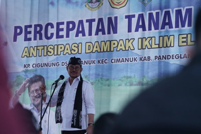 Menteri Pertanian Syahrul Yasin Limpo dalam acara tanam padi di Pandeglang, Banten, Selasa (18/7).