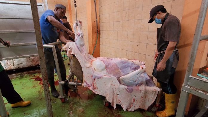Rumah Pemotongan Hewan Ruminansia (RPHR) di Kelurahan Ule, Kecamatan Asakota, Kota Bima, Kamis, 29 Juni 2023 (Foto: Humas Ditjen PSP/ THE EDITOR)