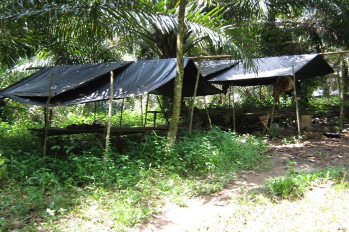 Illustration of Rumah Anak Dalam (Picture: Bukit National Park/ THE EDITOR)