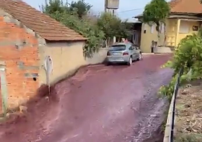 Pemandangan salah satu sudut Kota São Lourenço do Bairro di Portugal yang dibanjiri minuman anggur.