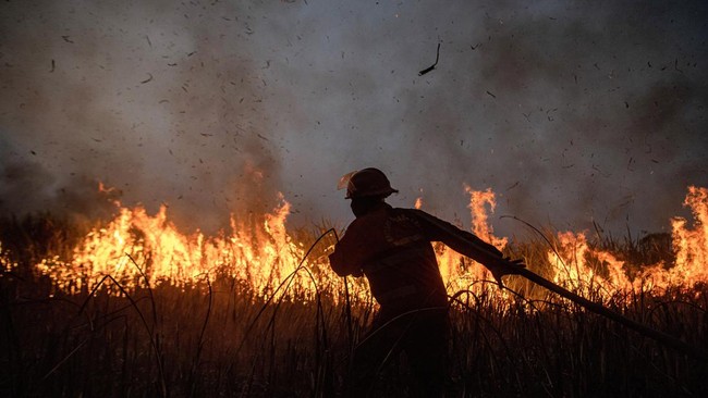 Kebakaran di hutan Taman Nasional Way Kambas di Kabupaten Lampung Timur, Lampung, Rabu (20/3). (Foto: Nova Wahyudi/Antara Foto)