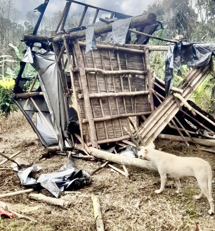Pengrusakan pondok milik warga Desa Pakel dilakukan oleh oknum tak dikenal pada tanggal 6 Agustus 2024 sekitar pukul 04.00 WIB (Foto: @rukunpakel/THE EDITOR)