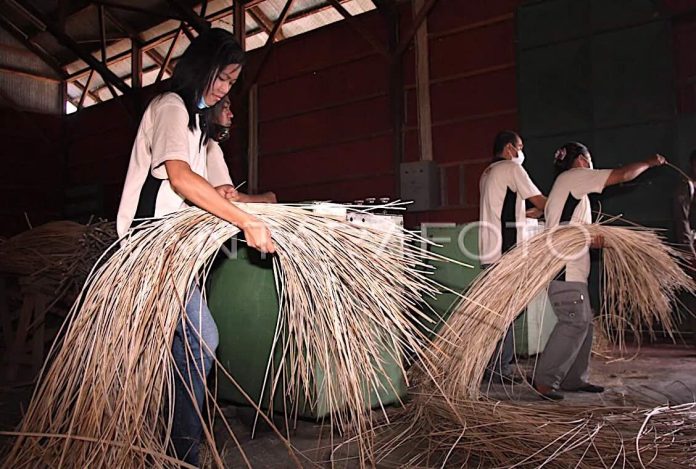 Pekerja menyelesaikan pembuatan kerajinan rotan di Industri Rotan UPH Hampangen Kabupaten Katingan, Kalimantan Tengah, Selasa (29/5). Nilai ekspor produk rotan pada periode Januari- Mei 2012 telah mencapai 92,30 Juta Dollar, Nilai ekspor produk rotan disumbang dari ekspor produk rotan furnitur senilai 69,72 Juta Dollar. (FOTO ANTARA/Reno Esnir)